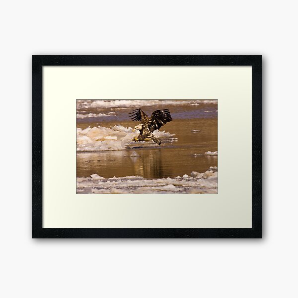 Young Hunter Framed Art Print