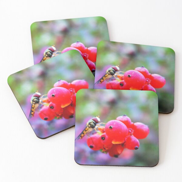 Item preview, hover fly on a berry tree designed and sold by Feebleeona.