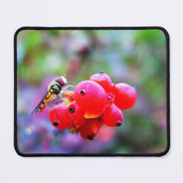 Item preview, hover fly on a berry tree designed and sold by Feebleeona.