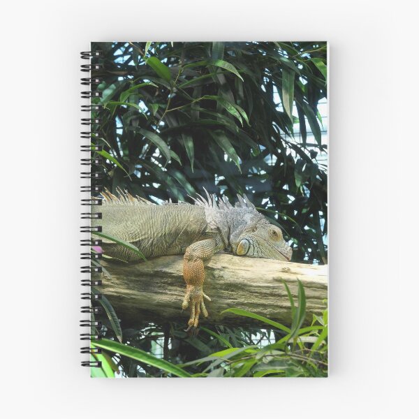 Item preview, Relaxing green iguana designed and sold by ChicVoyagePics.