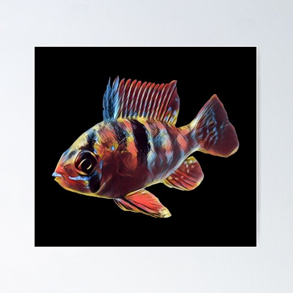 Discus Fish Keeper Aquarium Hobby Poster for Sale by JRRTs