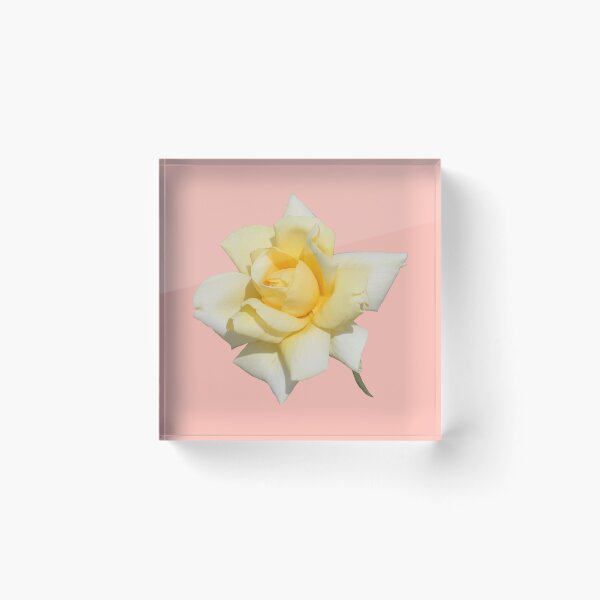Item preview, A Pretty Yellow Rose on Pink designed and sold by STHogan2.