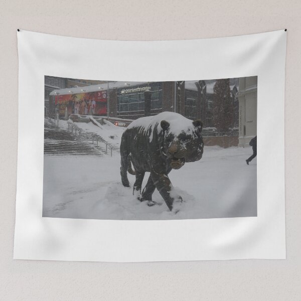 Item preview, Oslo S designed and sold by Norwegian Outdoors.