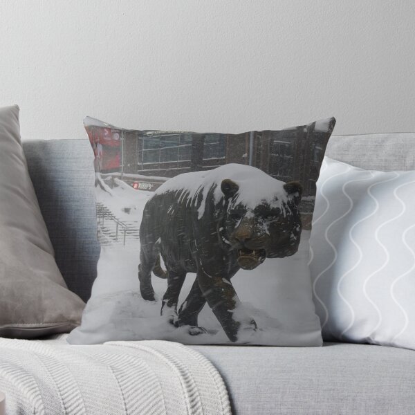Item preview, Oslo S designed and sold by Norwegian Outdoors.