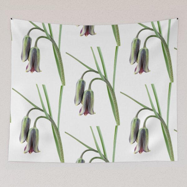 Item preview, Fritillaria elwesii  Fritillary  designed and sold by Chris Burrows.