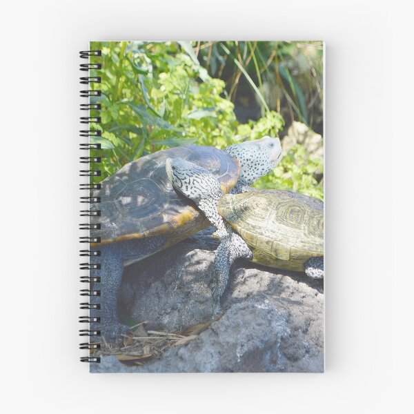 Item preview, Terrapin Turtle Couple designed and sold by Nature's Reflections.