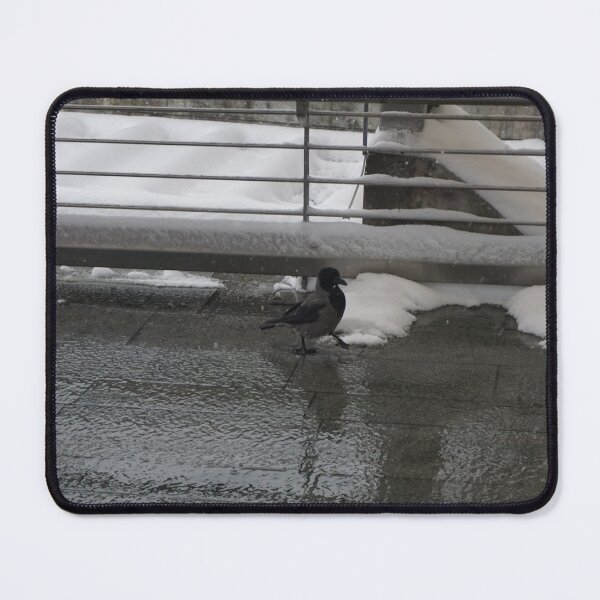 Item preview, Oslo S designed and sold by Norwegian Outdoors.