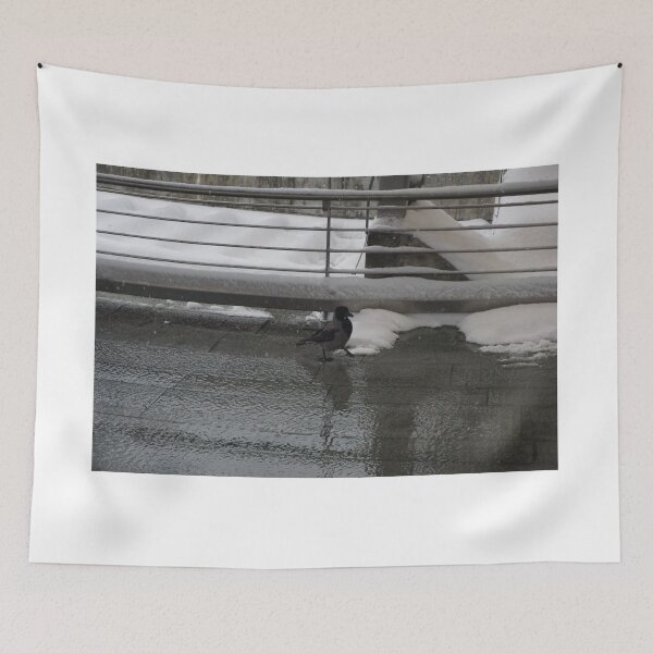 Item preview, Oslo S designed and sold by Norwegian Outdoors.