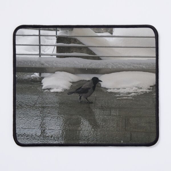 Item preview, Oslo S designed and sold by Norwegian Outdoors.