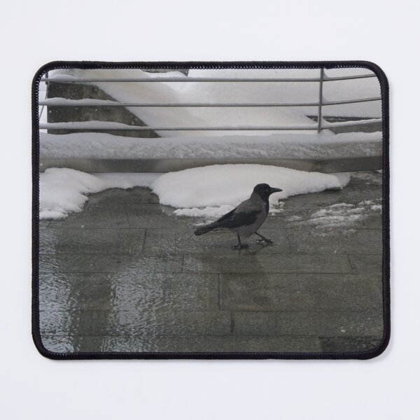 Item preview, Oslo S designed and sold by Norwegian Outdoors.