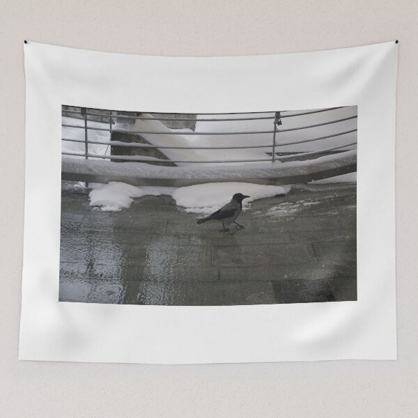 Item preview, Oslo S designed and sold by Norwegian Outdoors.