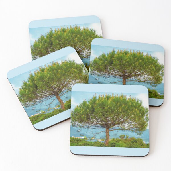 Item preview, Umbrella pine in SAINT-FLORENT (CORSICA) designed and sold by MarieClaude1954.