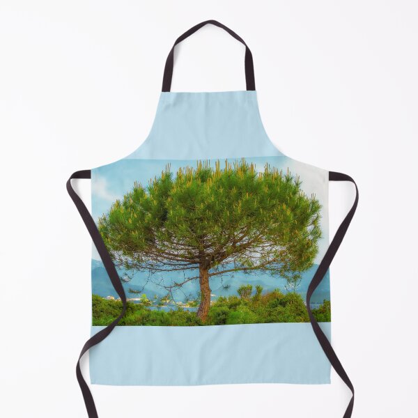 Item preview, Umbrella pine in SAINT-FLORENT (CORSICA) designed and sold by MarieClaude1954.