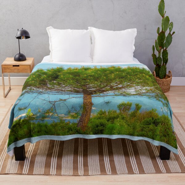 Item preview, Umbrella pine in SAINT-FLORENT (CORSICA) designed and sold by MarieClaude1954.