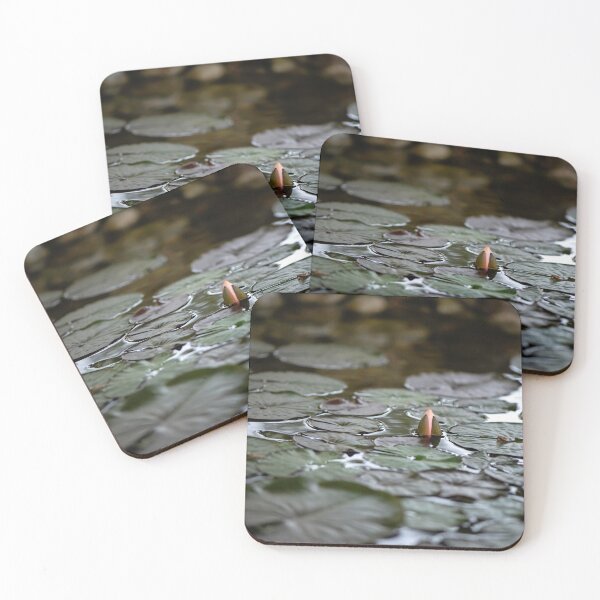 Item preview, water lily flower  designed and sold by sarahjeanphoto.