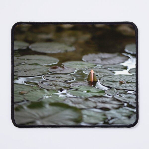 Item preview, water lily flower  designed and sold by sarahjeanphoto.