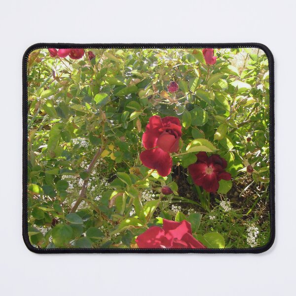 Item preview, Red Roses designed and sold by Shulie1.