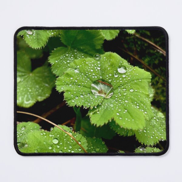 Item preview, Raindrop Green designed and sold by Willowlady.