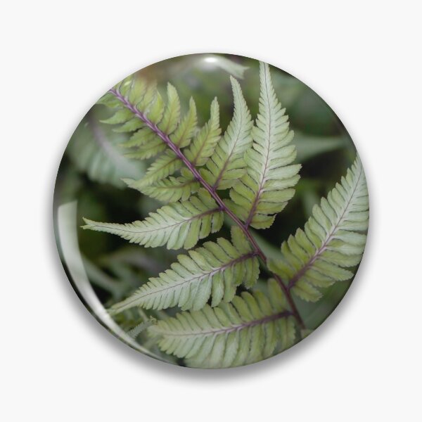Item preview, fern designed and sold by sarahjeanphoto.