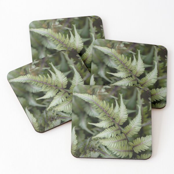 Item preview, fern designed and sold by sarahjeanphoto.