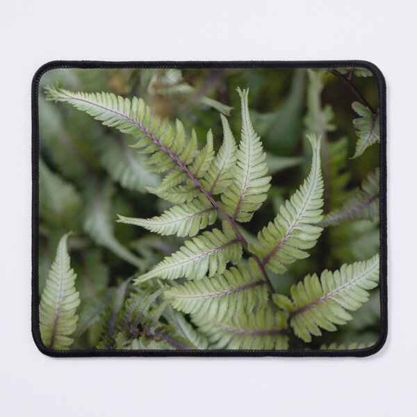 Item preview, fern designed and sold by sarahjeanphoto.