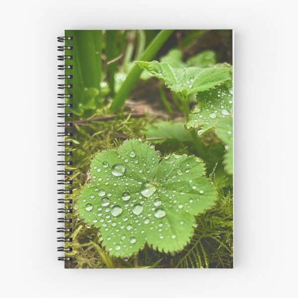 Item preview, Gemas de gota de lluvia designed and sold by Willowlady.