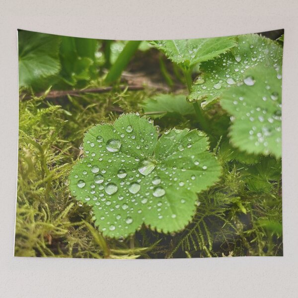 Item preview, Raindrop Gems designed and sold by Willowlady.