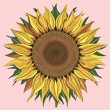 Artwork thumbnail, Sunflower Pattern by PatternInArt