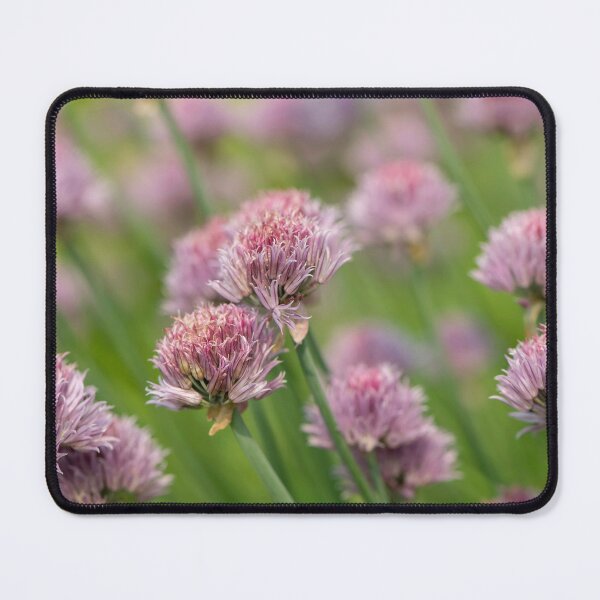Item preview, purple flowers chives designed and sold by sarahjeanphoto.