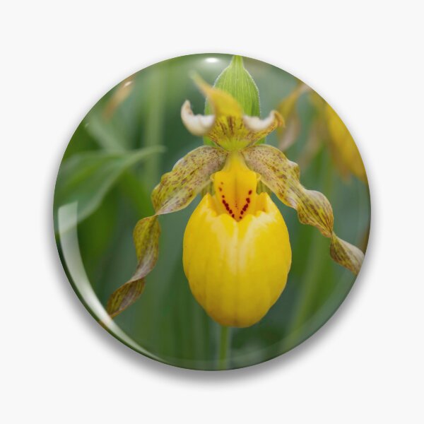 Item preview, yellow lady slipper flower designed and sold by sarahjeanphoto.
