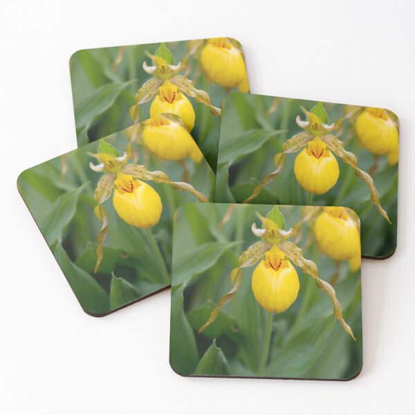 Item preview, yellow lady slipper flower designed and sold by sarahjeanphoto.