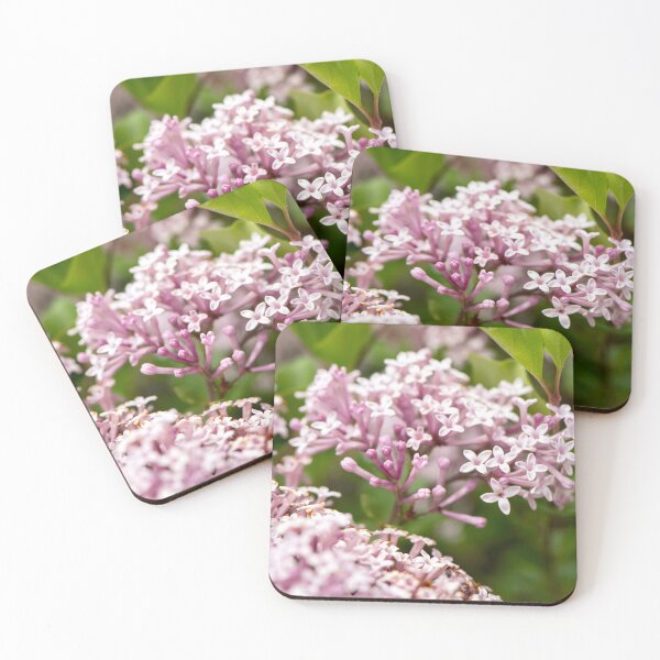 Item preview, lilac flower designed and sold by sarahjeanphoto.