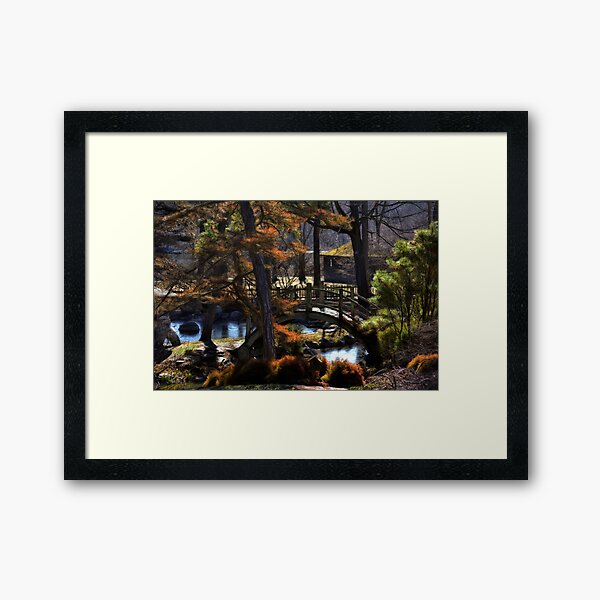 Framed Print