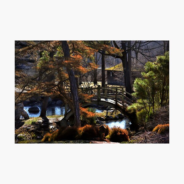 Photographic Print