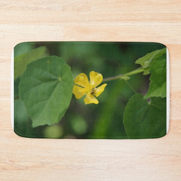Item preview, Indian Mallow (Abutilon indicum) in Cebu, Philippines designed and sold by The Botanical Jason.