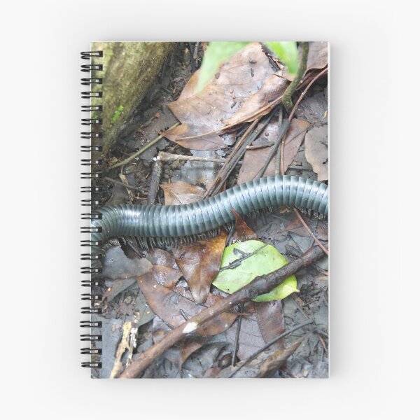 Artikelvorschau, Acladocricus Major (Bohol Giant Forest Tausendfüßler), Philippinen entworfen und verkauft von The Botanical Jason.