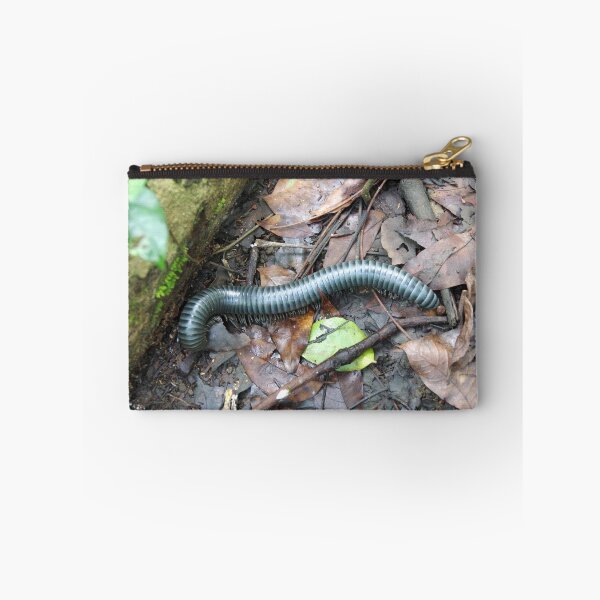Artikelvorschau, Acladocricus Major (Bohol Giant Forest Tausendfüßler), Philippinen entworfen und verkauft von The Botanical Jason.