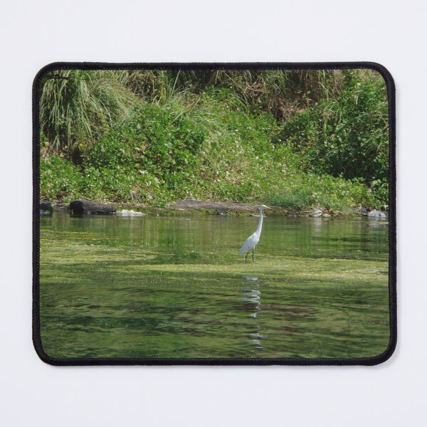 Item preview, Ardea alba (Great Egret) next to Taal Volcano, in Taal Lake, Philippines designed and sold by The Botanical Jason.