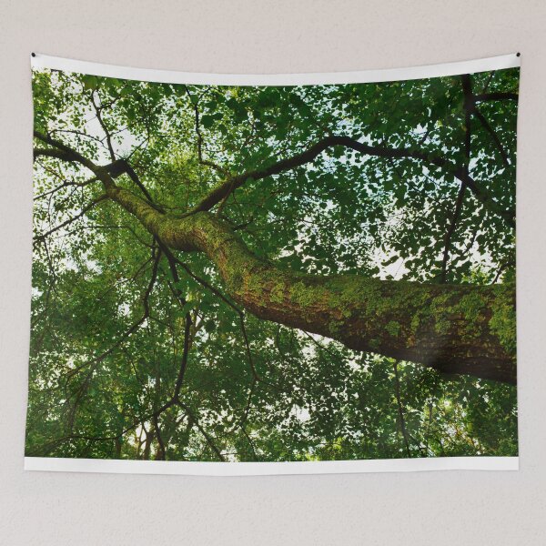 Artikelvorschau, Auf den moosigen Baum entworfen und verkauft von Again-Art.