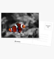 Suspension Postcards