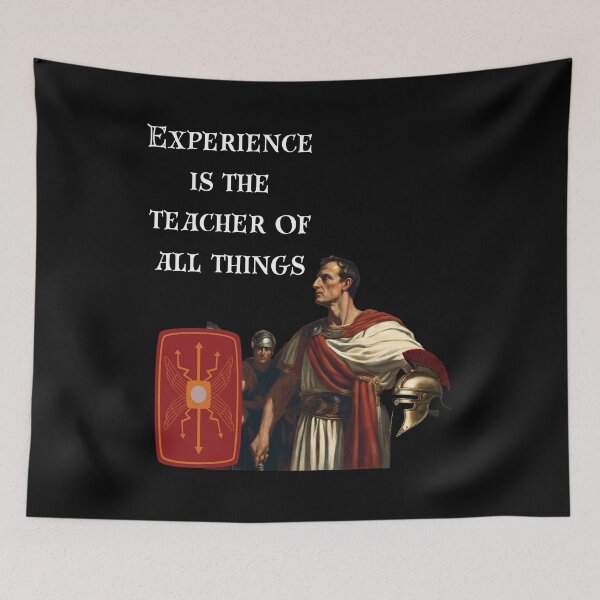 Item preview, Experience Is The Teacher Of All Things 2 designed and sold by Wis-Epoch.