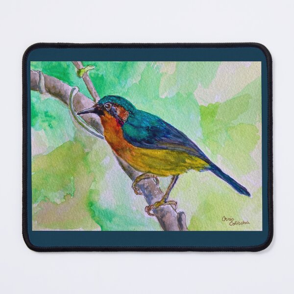 Item preview, Ruby Cheeked Sunbird designed and sold by Chriscolibaba.