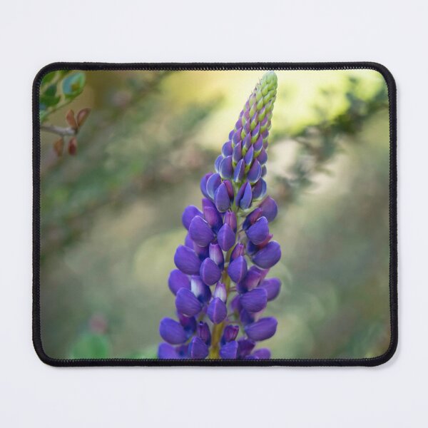 Item preview, purple lupine flower designed and sold by sarahjeanphoto.