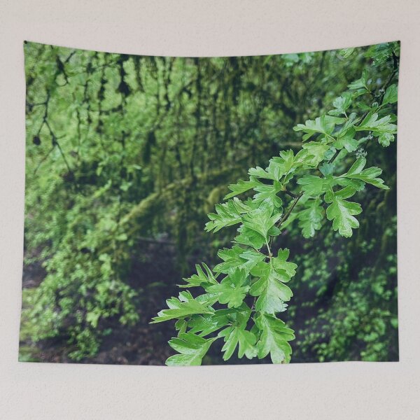 Item preview, Lush Forest designed and sold by Willowlady.
