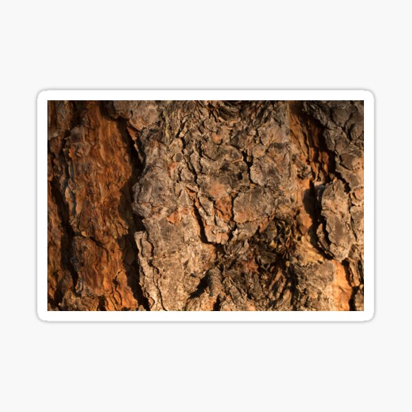 Tree Bark Texture Sticker