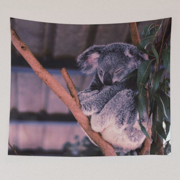 Item preview, Koala #9 designed and sold by KingdomWildlife.