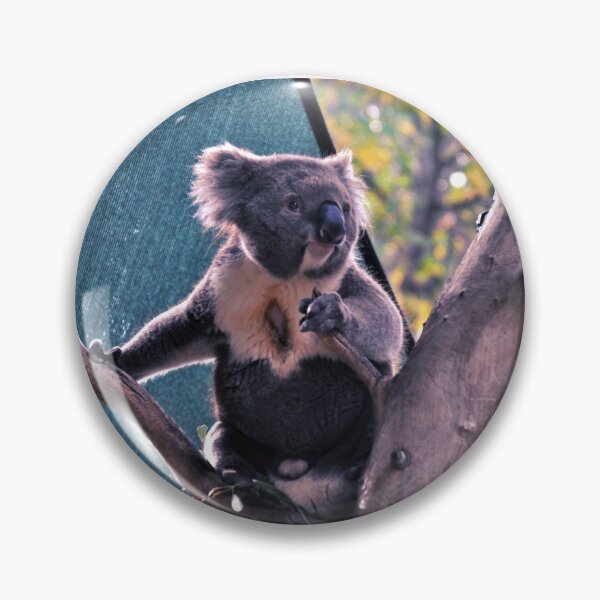 Item preview, Koala #11 designed and sold by KingdomWildlife.