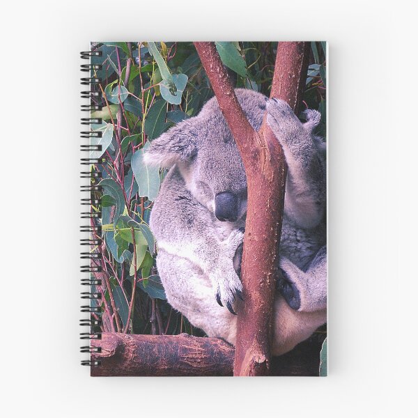 Item preview, Koala #12 designed and sold by KingdomWildlife.