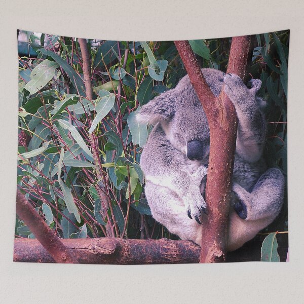 Item preview, Koala #12 designed and sold by KingdomWildlife.