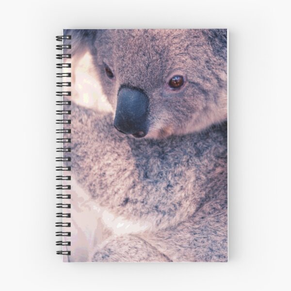 Item preview, Koala #13 designed and sold by KingdomWildlife.